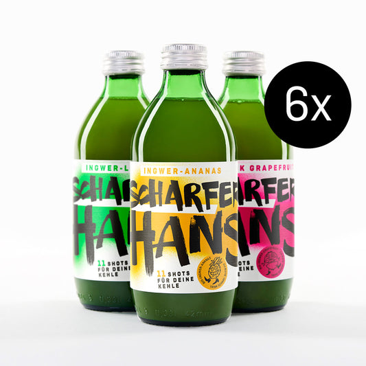 6er Kiste Ingwer-Saft